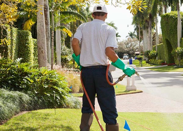 About Radisson WI Pest Control Pros